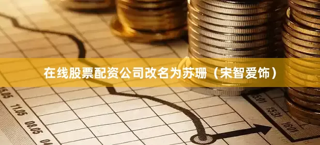 在线股票配资公司改名为苏珊（宋智爱饰）