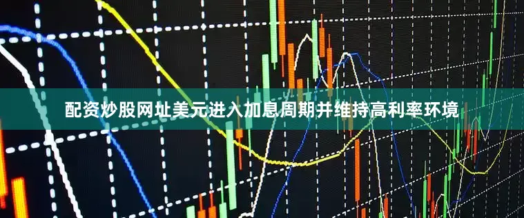 配资炒股网址美元进入加息周期并维持高利率环境