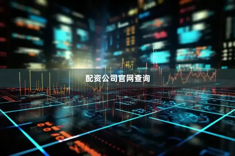 配资公司官网查询