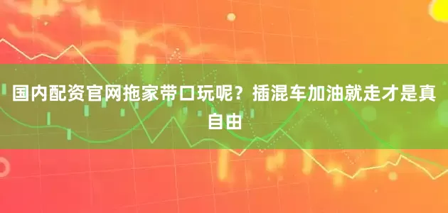 国内配资官网拖家带口玩呢？插混车加油就走才是真自由