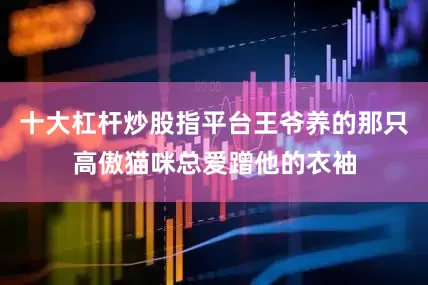 十大杠杆炒股指平台王爷养的那只高傲猫咪总爱蹭他的衣袖