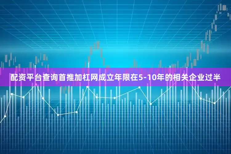 配资平台查询首推加杠网成立年限在5-10年的相关企业过半